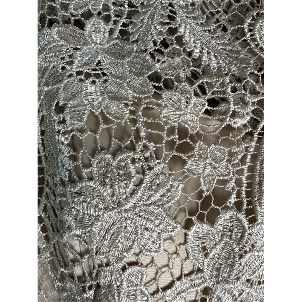 Adrianna Papell Lace Dress Ivory A-Line Sleeveless 10 Romantic Wedding Guest - Picture 6 of 14